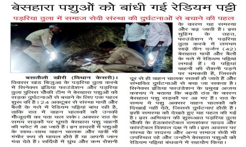 Street Cow Safety & Rescue